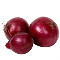 Onion