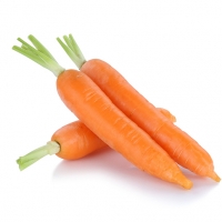 Carrot
