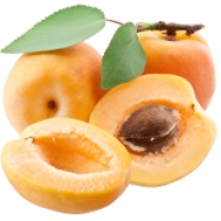 Apricot