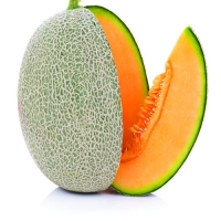 Cantaloupe Melons