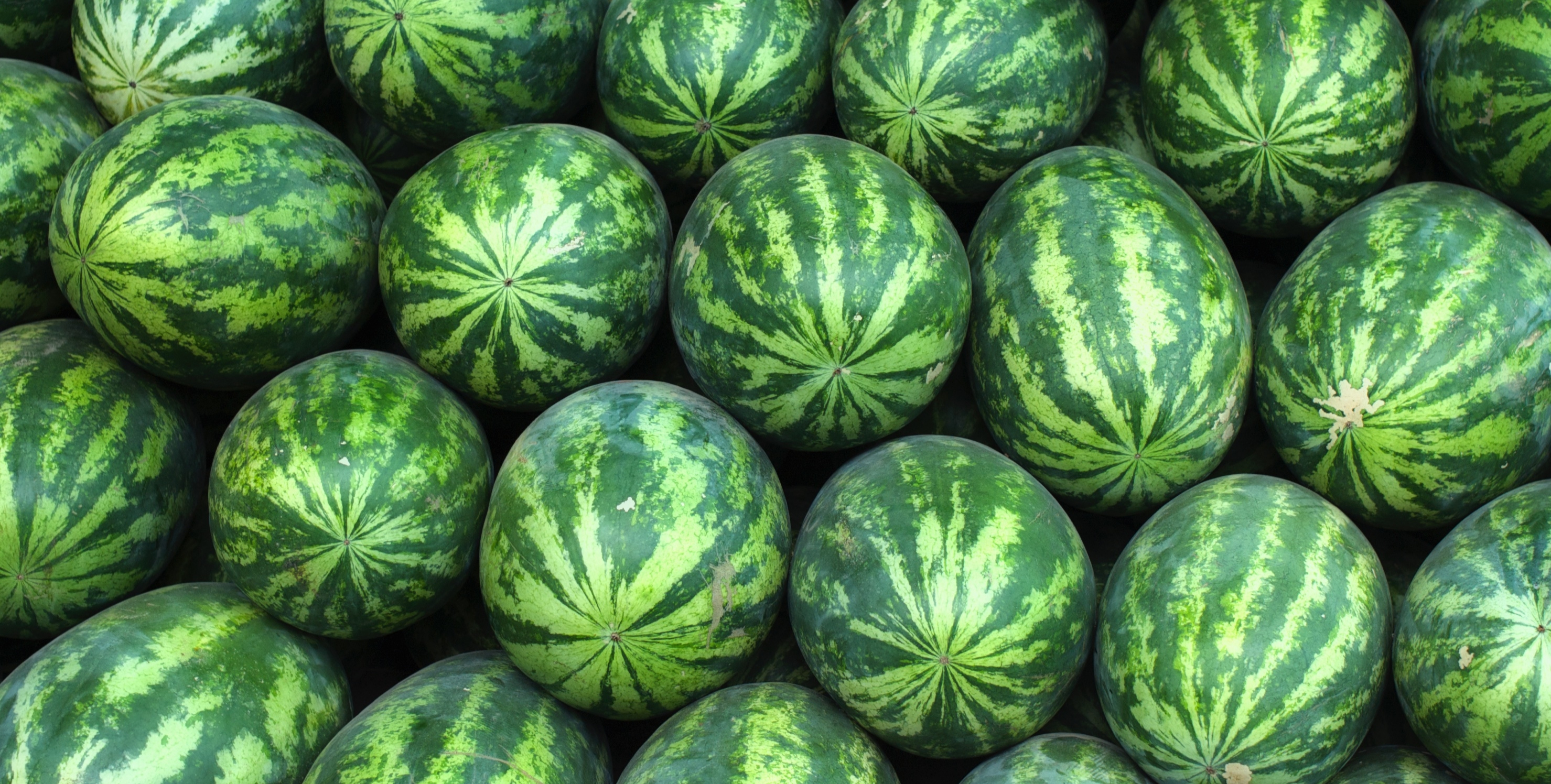 Your Trusted Partner