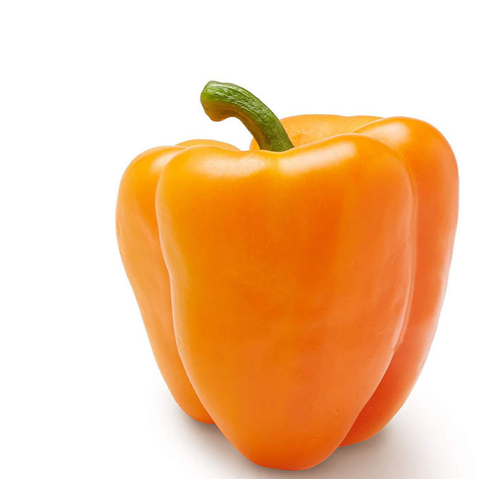 Orange Bell Pepper