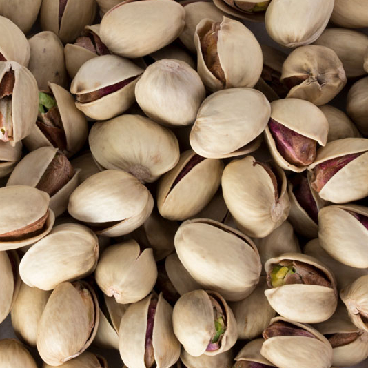 Jumbo (Kaleghouchi/18-20)