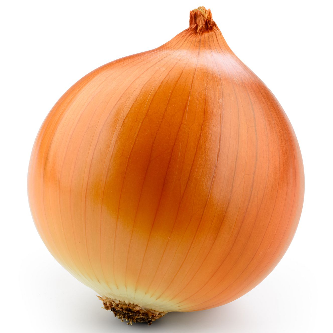 Yellow Onion
