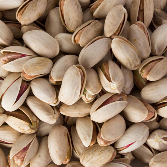 Super Long (Akbari/22-24)