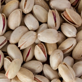 Long (Ahmad Aghaei/26-28)