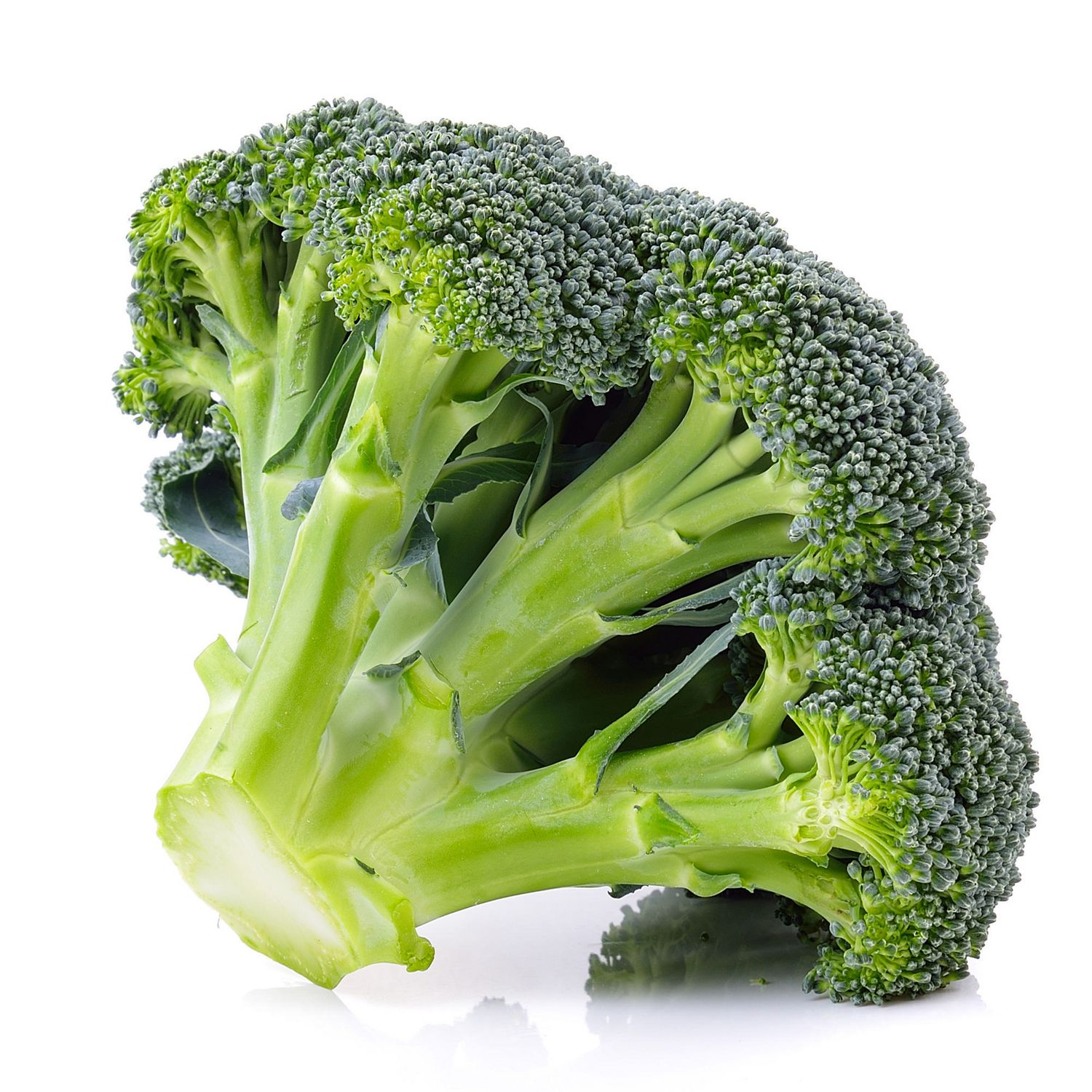 Sahraee Broccoli