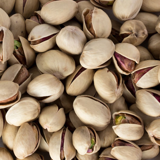 Jumbo (Kaleghouchi/24-26)