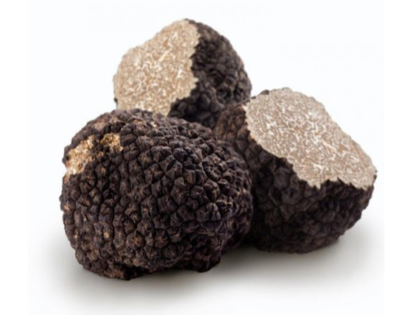 Truffle