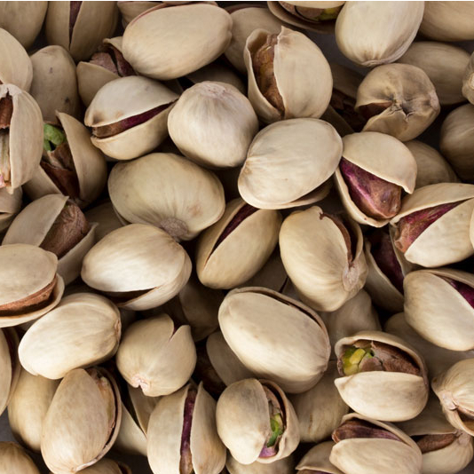 Jumbo (Kaleghouchi/22-24)