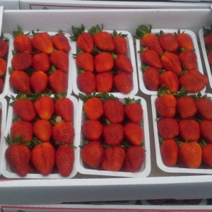 Strawberry