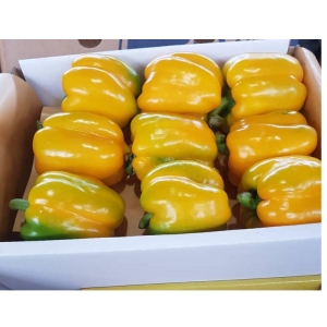Yellow Bell Pepper