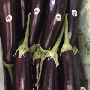 Italian Eggplant/Autumn