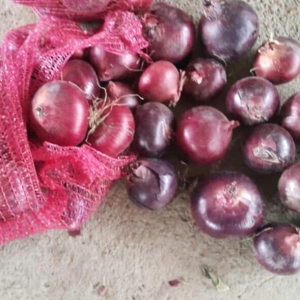 Red Onion