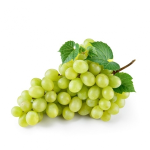Seedless Green Grape