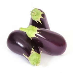 Globe Eggplant/ Autumn