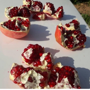 Pomegranate