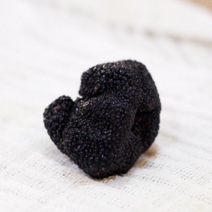 Truffle