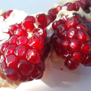Pomegranate