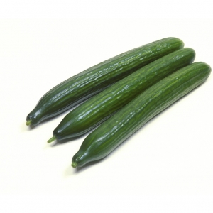 Smooth Cucumber