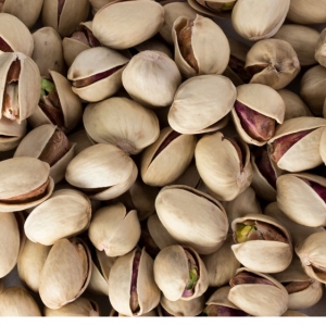 Jumbo (Kaleghouchi/18-20)