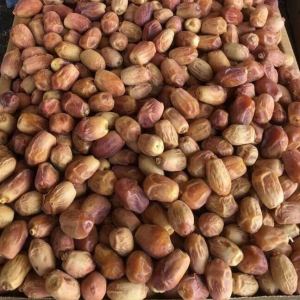 Zahedi Dates