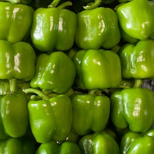 Barkhori Bell Pepper 