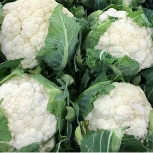 White Cauliflower