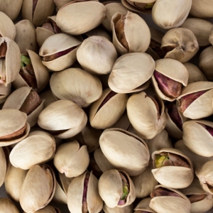 Jumbo (Kaleghouchi/20-22)