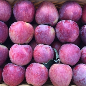 Red Delicious