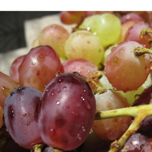 Seedless Red Grape