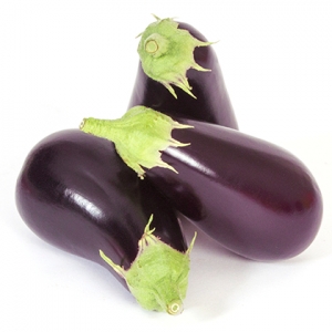 Globe Eggplant/ Summer
