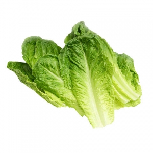 Romaine Lettuce