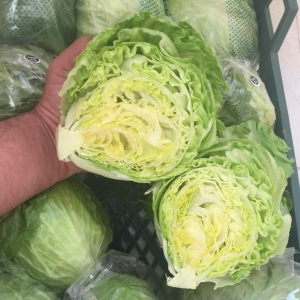 Iceberg Lettuce