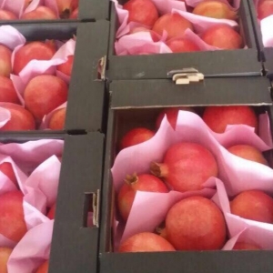 Pomegranate