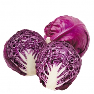Red Cabbage 
