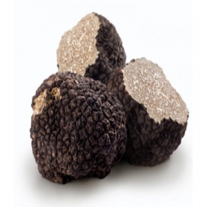 Truffle