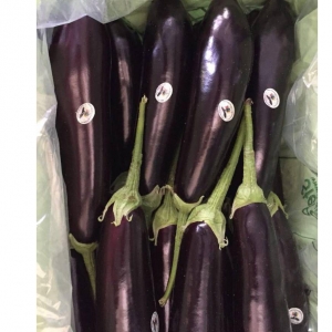 Italian Eggplant/Summer