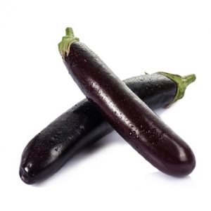 Italian Eggplant/Autumn