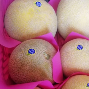 Cantaloupe Melons
